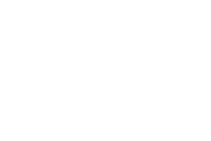 SYNOT